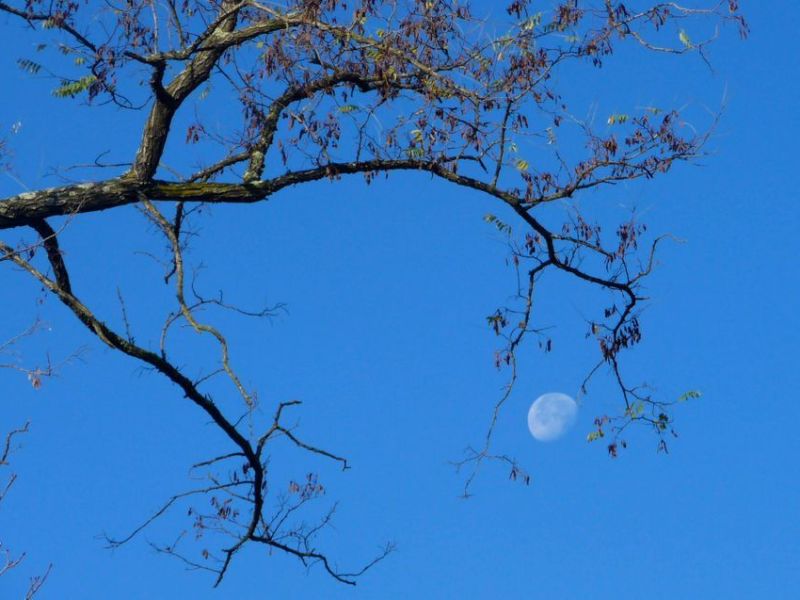 Tête en l&rsquo;air