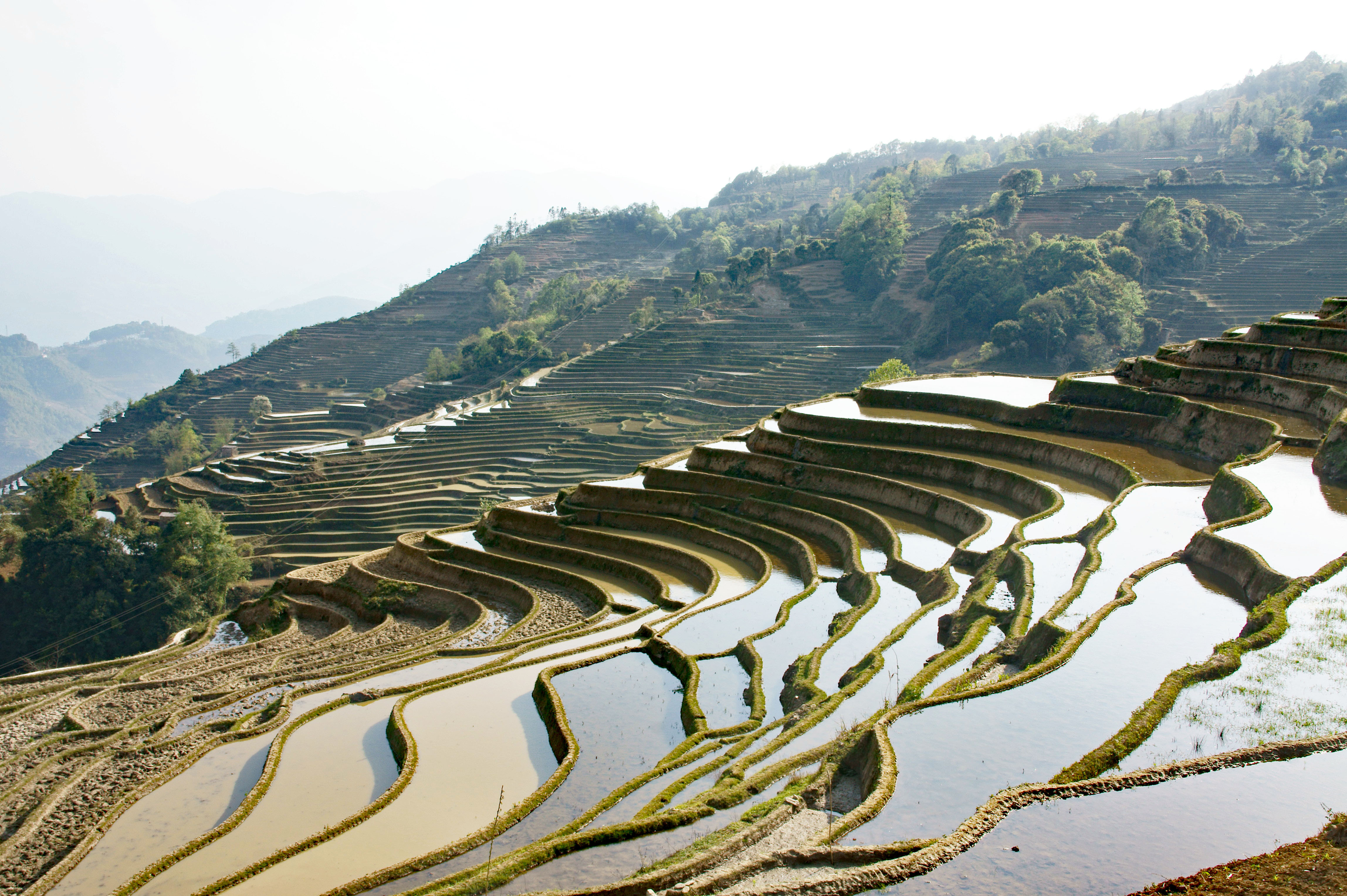 " Yunnan, rizière en eau " photo Françoise Thorel