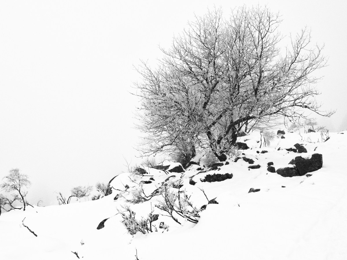 A la manière de&nbsp;…